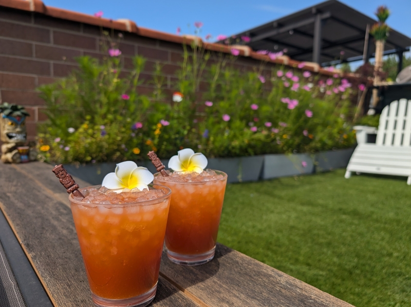 Jungle Bird Cocktail