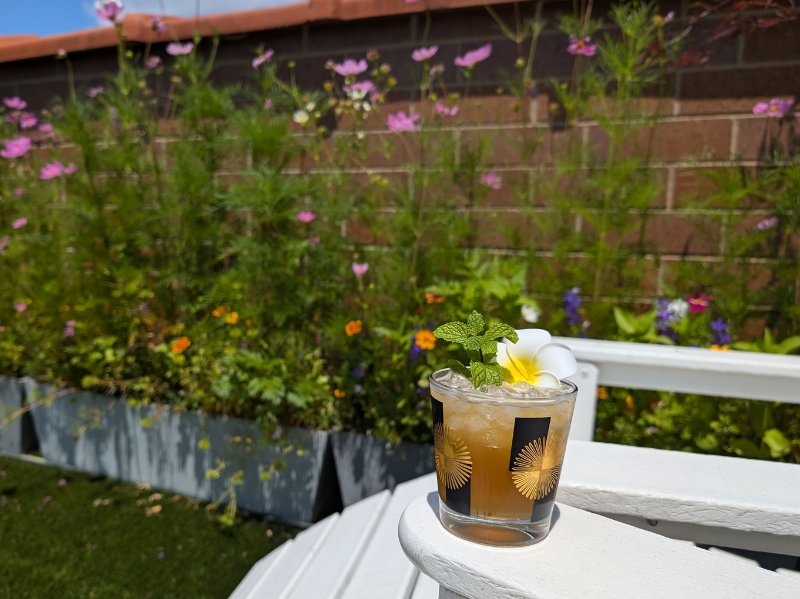 Mai Tai (Trader Vic’s)
